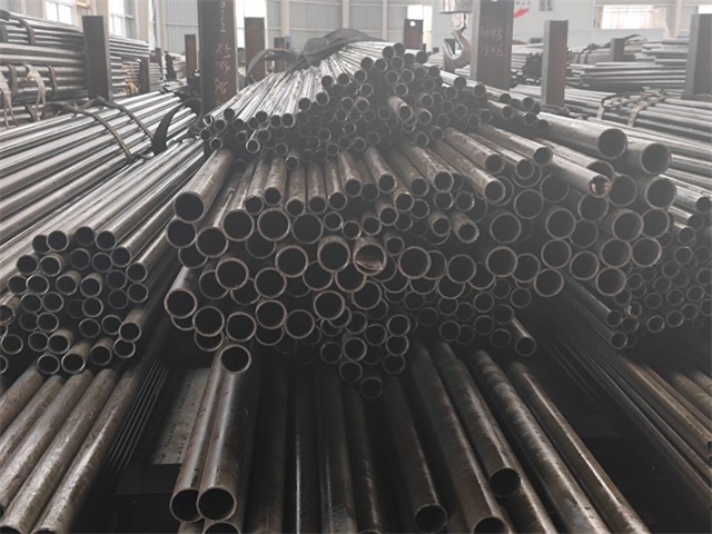 IMG_20230401_141032.jpg IMG_20230401_141032.jpg